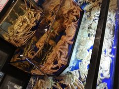 -蟹道乐(道顿堀本店)