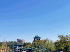 -桂湖森林公园