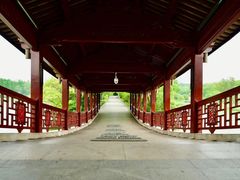 -长广溪湿地公园