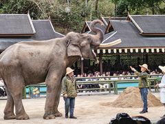 -西双版纳勐泐文化旅游区