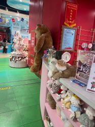 -哈姆雷斯(王府井百货大楼店)