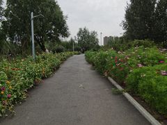 -长春公园(普阳街道)