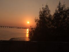 -宝安西湾红树林湿地公园