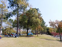 -美兰湖景区