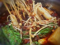 -老黑板筋(顺义总店)