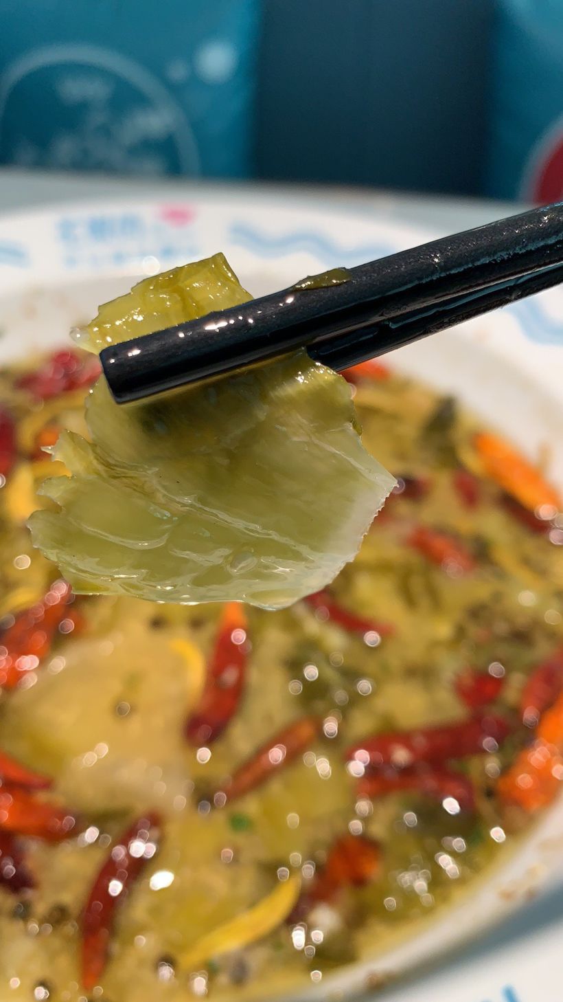 【酸辣爽鱼皮】这个鱼皮是凉菜,冰镇后的口感很清爽,不错.