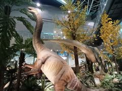 -湖南省地质博物馆