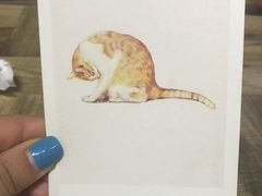-小时光咖啡馆(开森度假森林店)