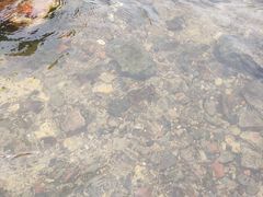 -贵阳市花溪国家城市湿地公园