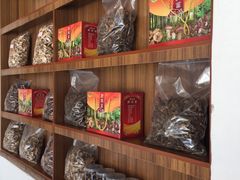 -蘑统田下·野生菌火锅