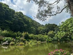 -深圳仙湖植物园