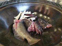 -俊家铁锅炖鱼(地工路店)