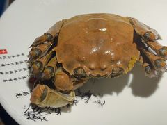 -应天大明王朝·南京菜(中山陵店)