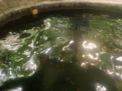 -龙达温泉生态城