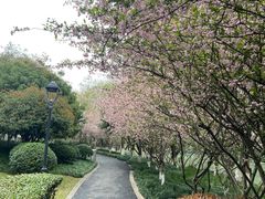 -和府捞面(西溪印象城店)