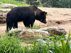 -北京野生动物园