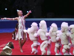 -珠海横琴长隆《卡卡虎奇遇记》