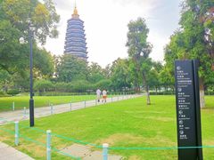 -红梅公园
