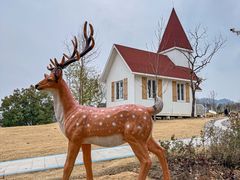 -鱼宴馆·家宴老字号淳鱼馆(千岛湖总店)