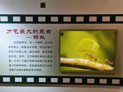 -上海昆虫博物馆