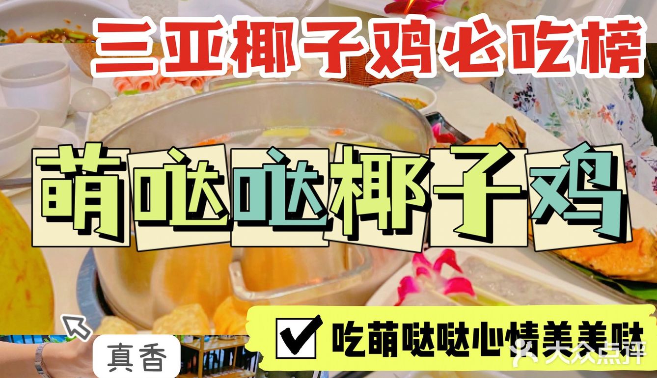 三亚🥥｜海南不仅要吃海鲜🦑椰子鸡🍗吃萌哒哒🉑️‼️