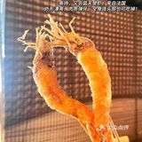 香港旅游！国庆要去吃很火的大阪烧串