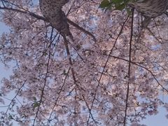 -广富林郊野公园