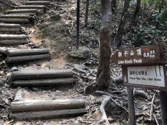 -狮子山郊野公园