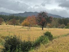 -塔川景区