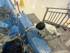 -芜湖新华联大白鲸海洋公园
