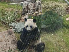 -无锡动物园·太湖欢乐园