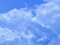 -深圳市坪山区中山小学