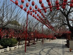 -祥源·阜阳生态乐园