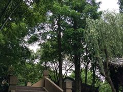 景点-朱家角课植园