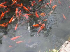-水磨沟公园
