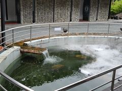 -凤阁楼果木烧鹅(鹤山陈山店)