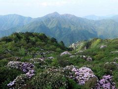 -永州阳明山国家森林公园