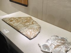 -衢州市博物馆