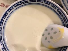 招牌姜撞奶-捷信牛奶甜品世家(五道口店)