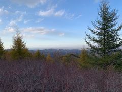 -苏木山森林公园