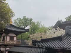 -寒山寺