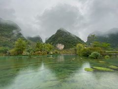 -靖西鹅泉风景区