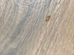 -七鲜超市(万向城店)