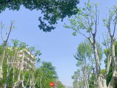 -浙江大学(玉泉校区)
