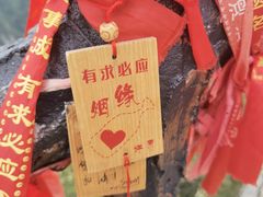 -秦岭终南山世界地质公园翠华山景区
