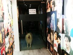 -肆兮眼镜·蔡司·徕卡战略合作店(大坪店)