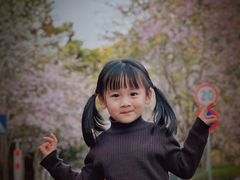 -景田北六街公园宠物主题园