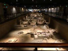 -洛阳周王城天子驾六博物馆