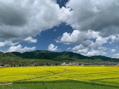 -郭莽湿地