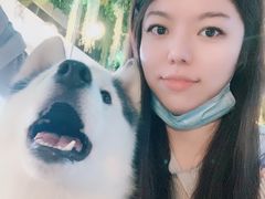 -Husky Go! 哈士奇体验馆·宠物咖啡厅狗咖